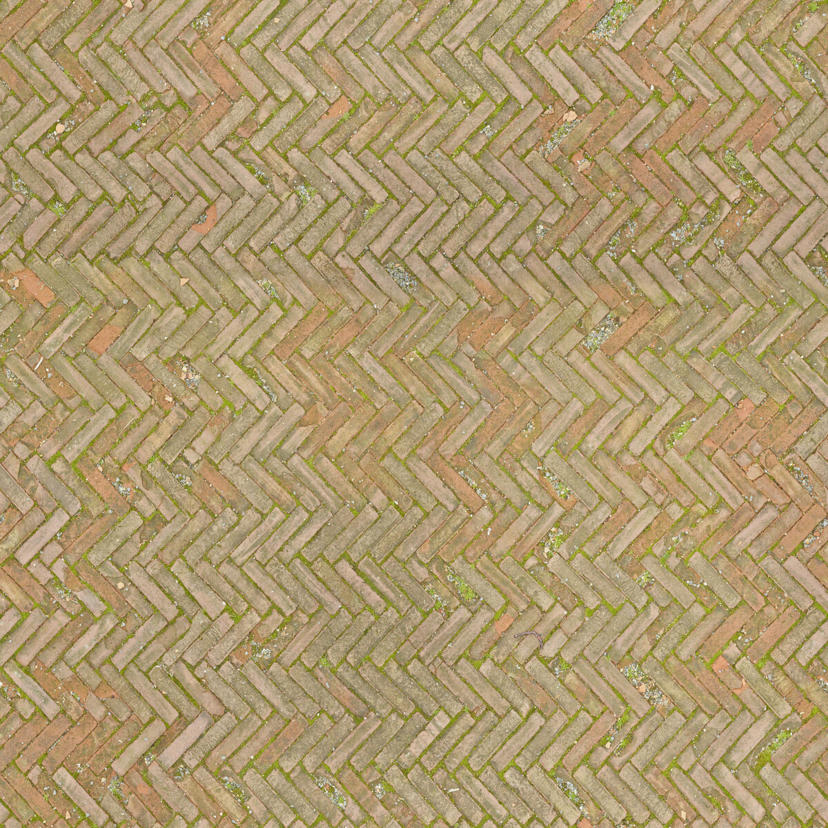 Paving Stones 056 Texture