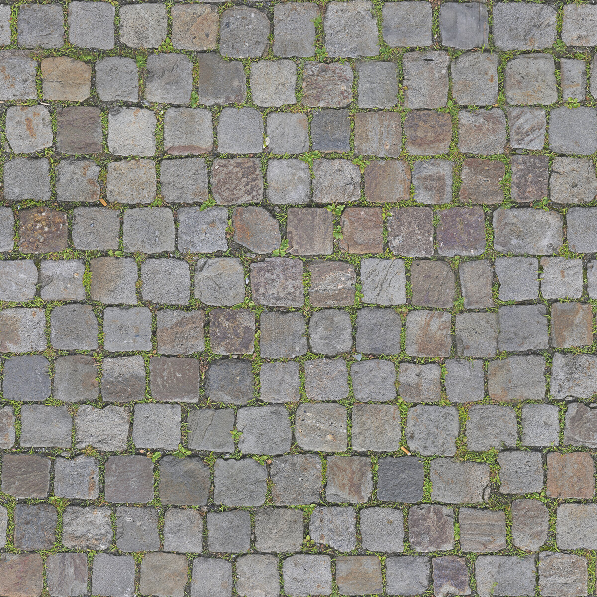 Paving Stones 070 Texture