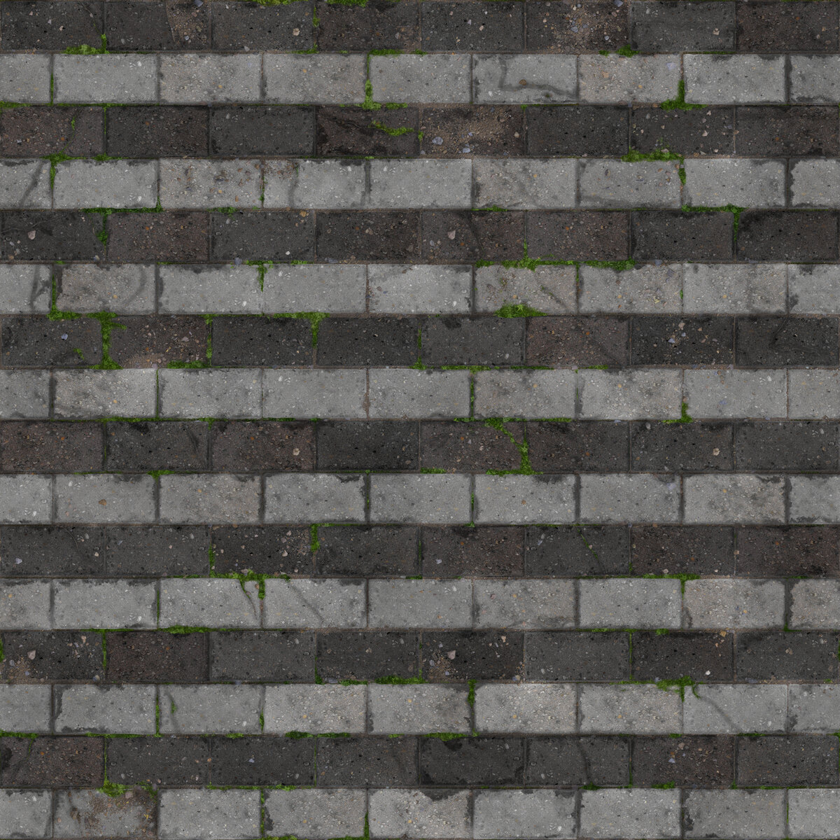 Paving Stones 091 Texture