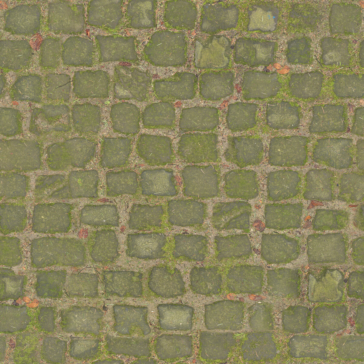 Paving Stones 113 Texture