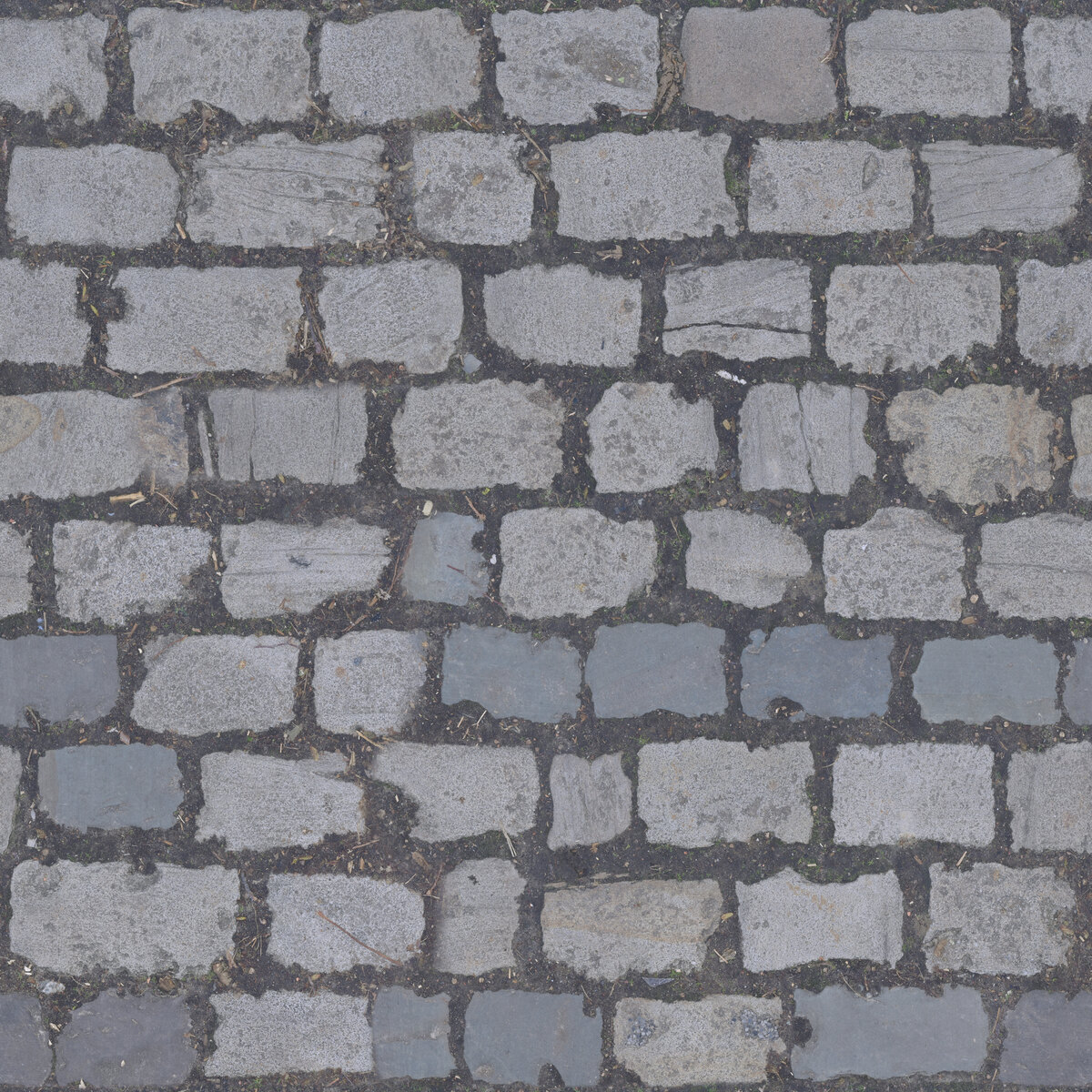 Paving Stones 115 A Texture