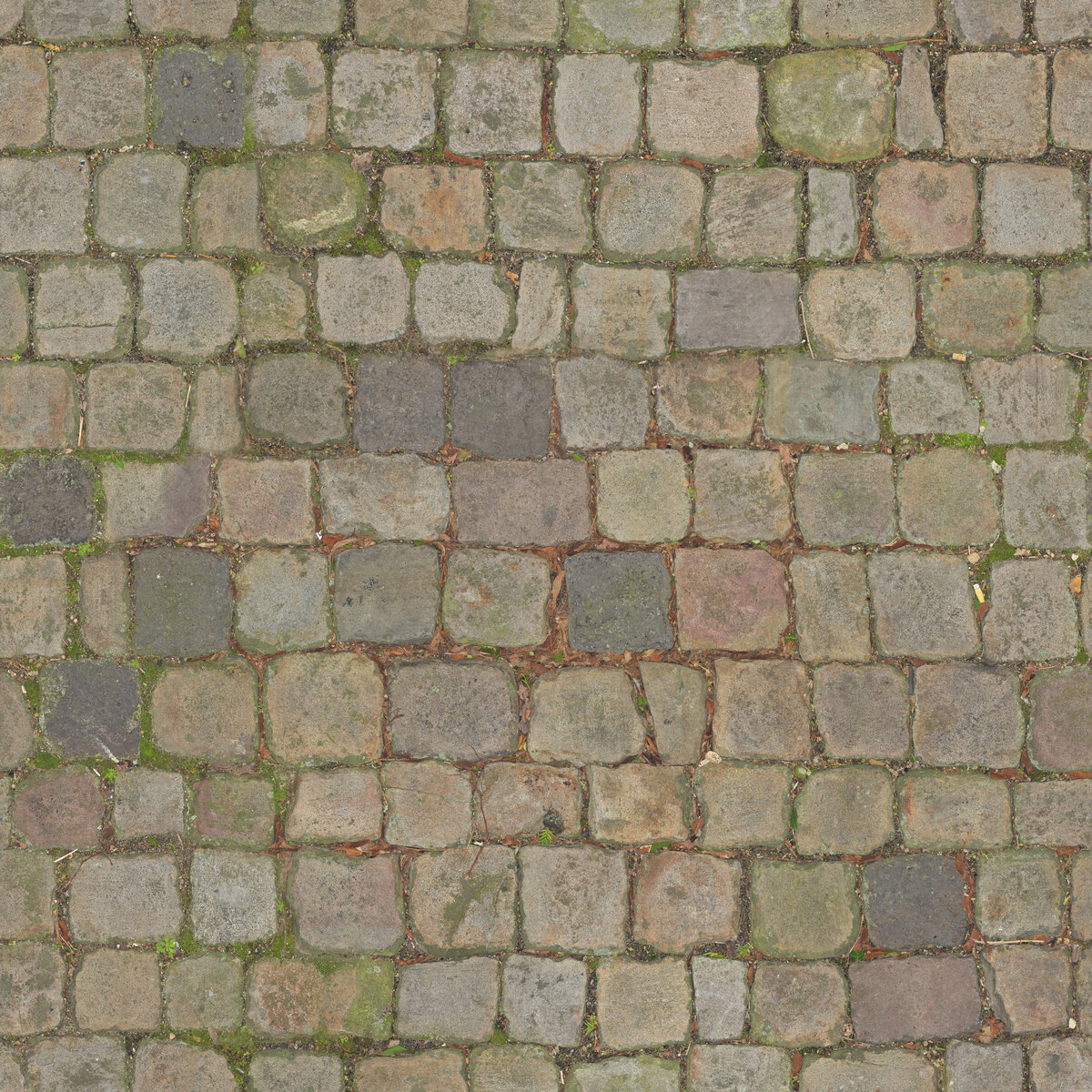 Paving Stones 116 Texture