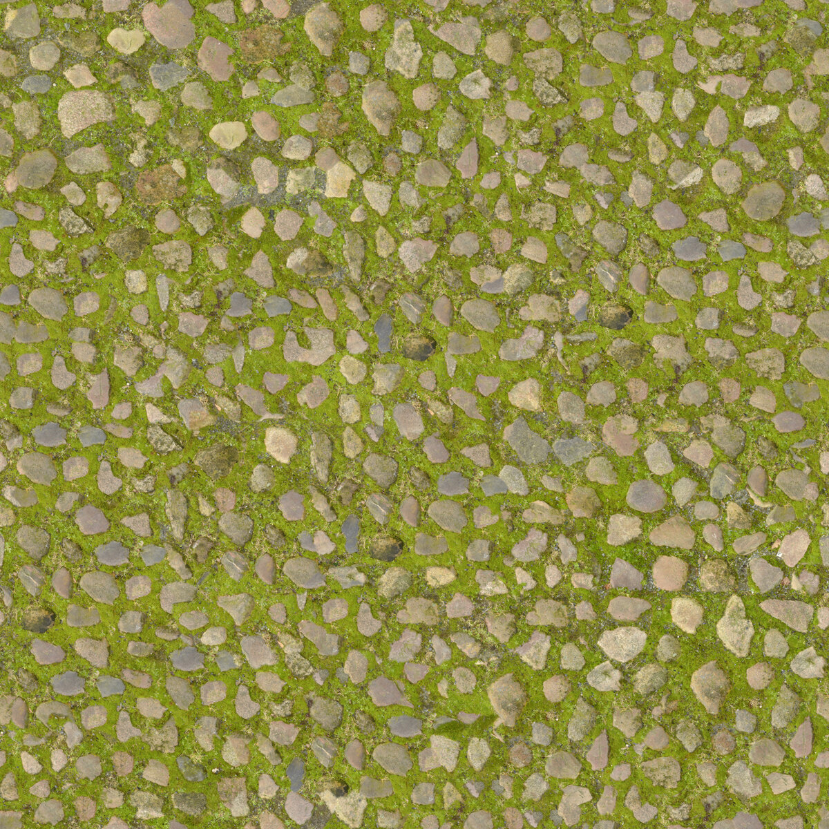 Paving Stones 139 Texture