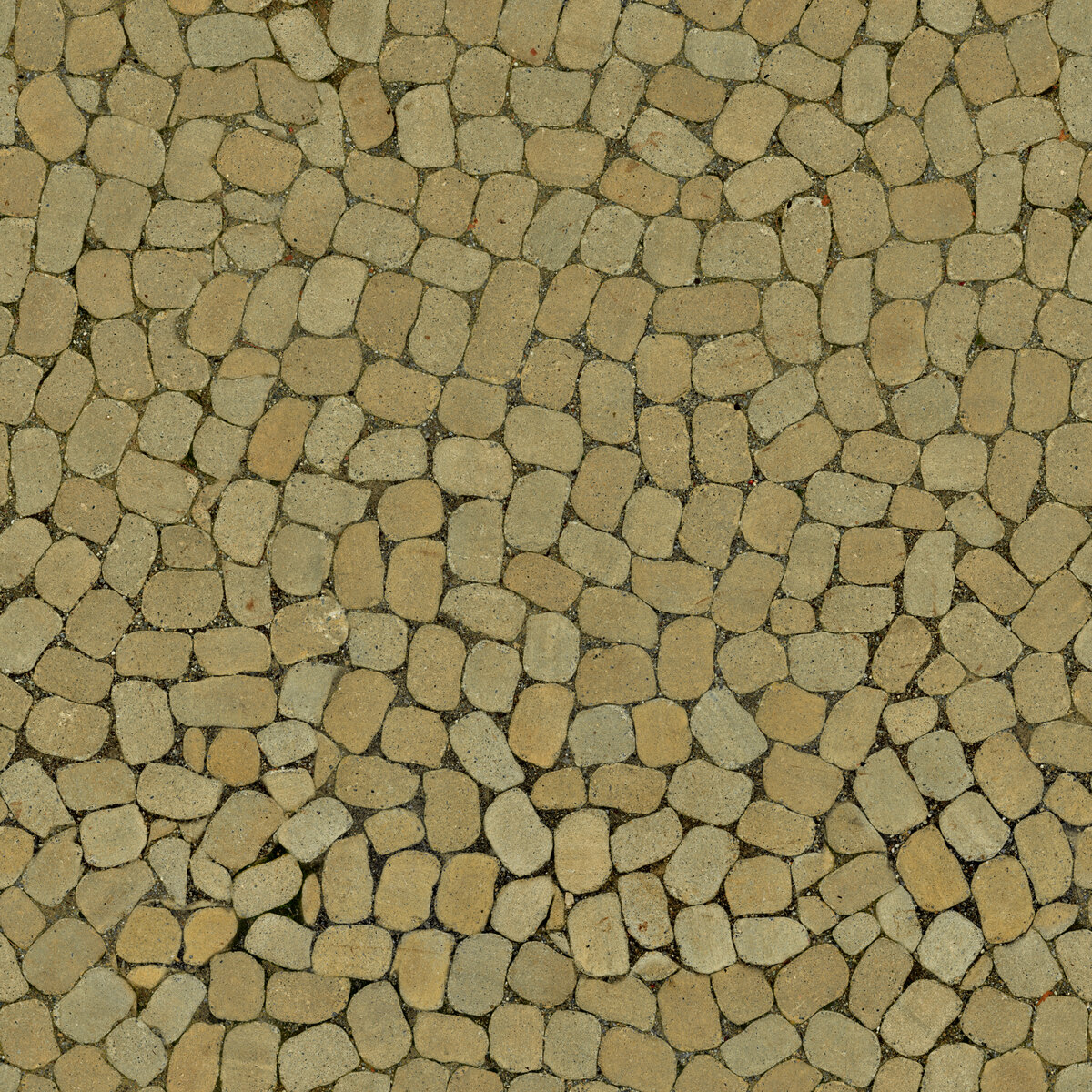 Paving Stones 145 Texture
