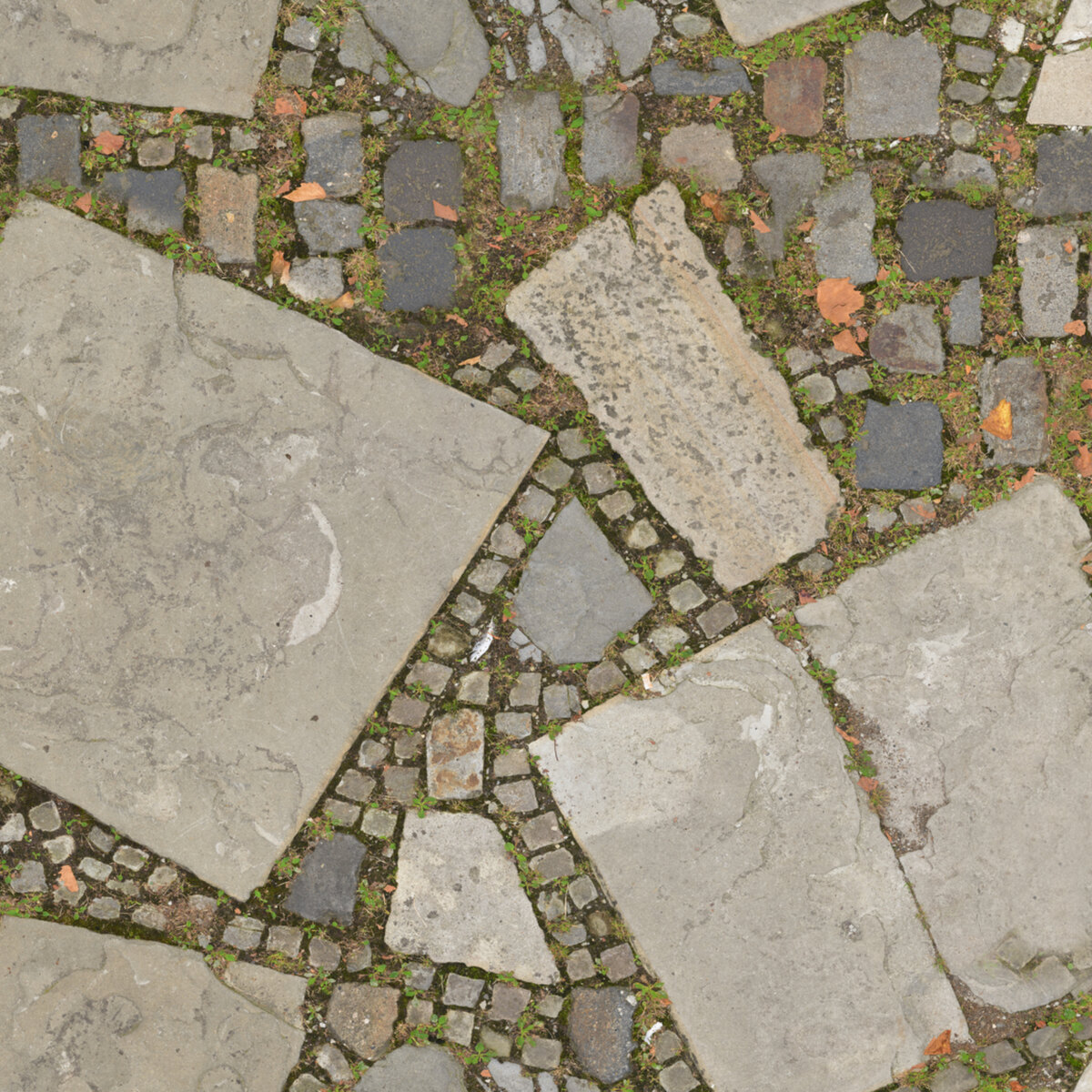 Paving Stones 149 Texture
