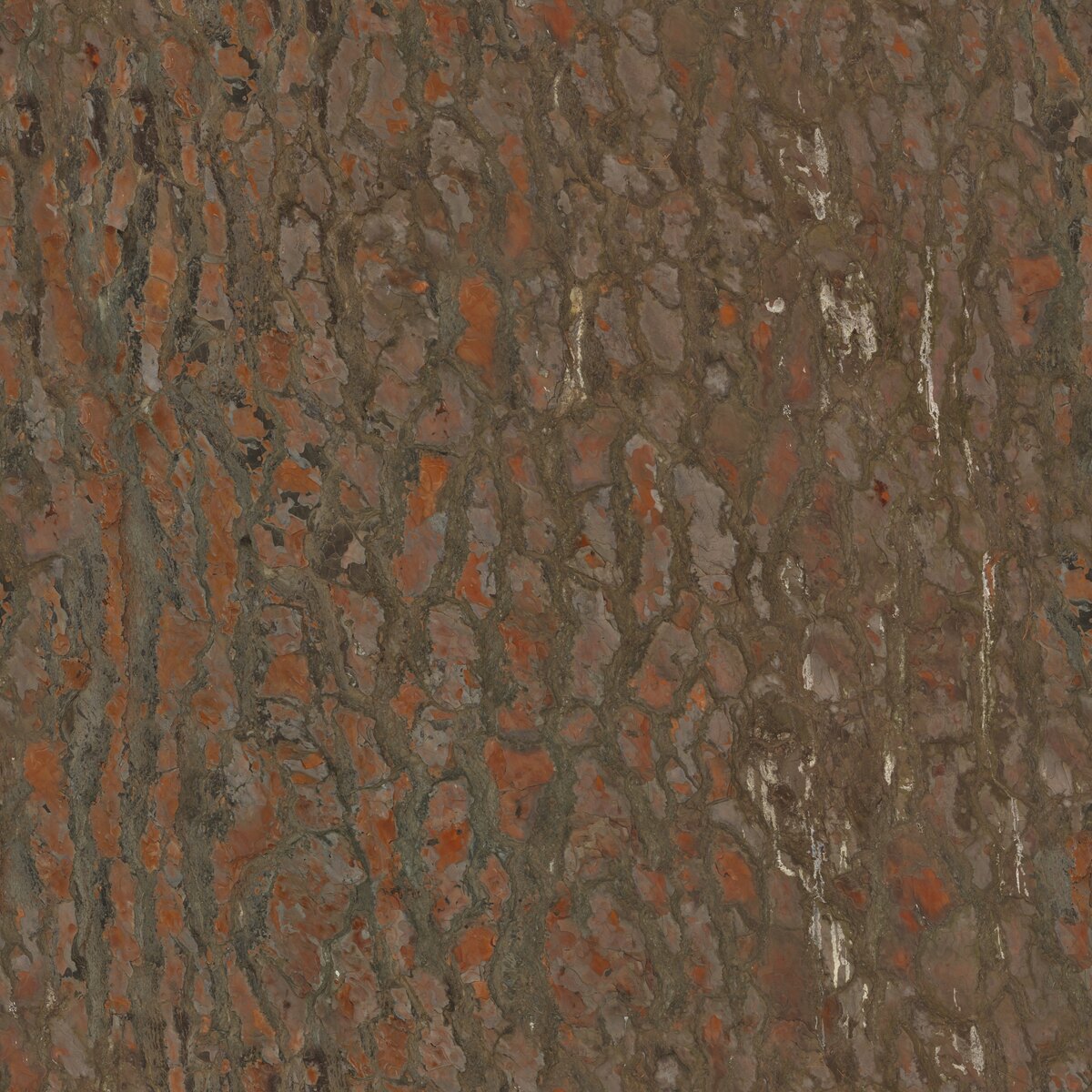 Pine Bark Texture