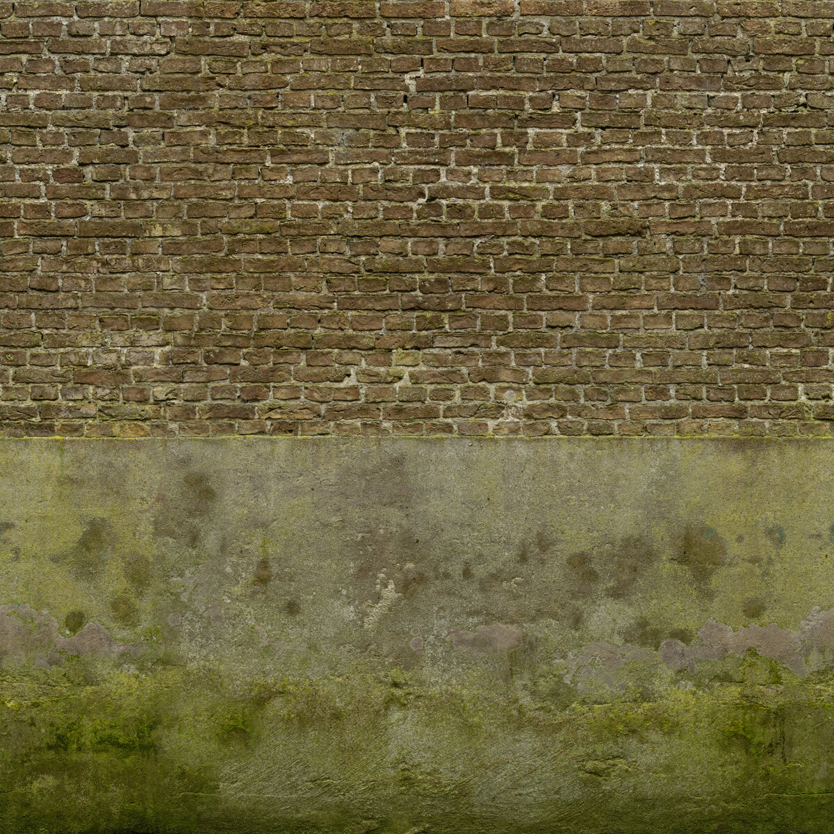 Plaster Brick 01 Texture