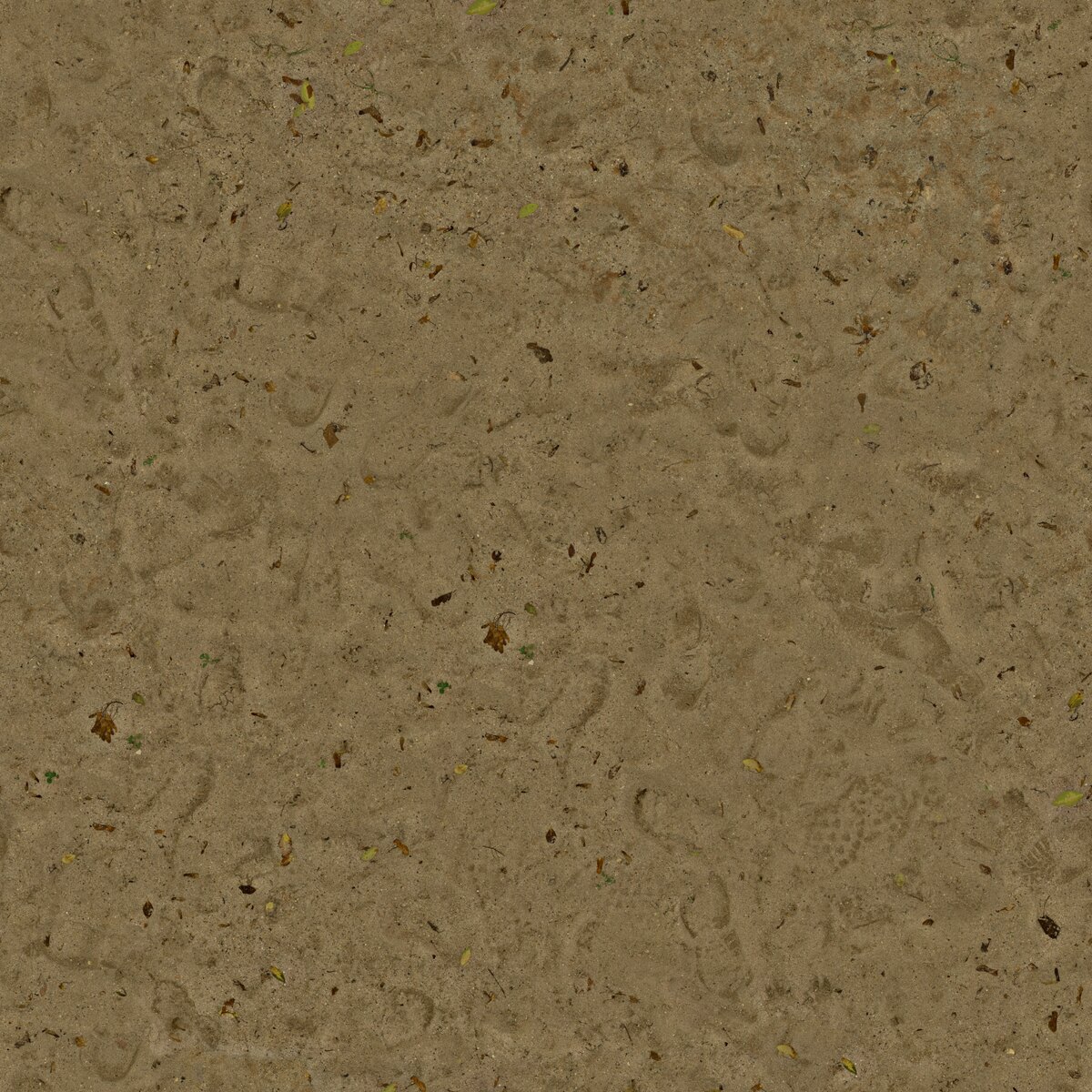 Playground Sand Texture
