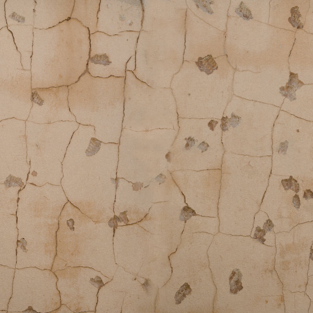 Preconcrete Wall 001 Long Texture