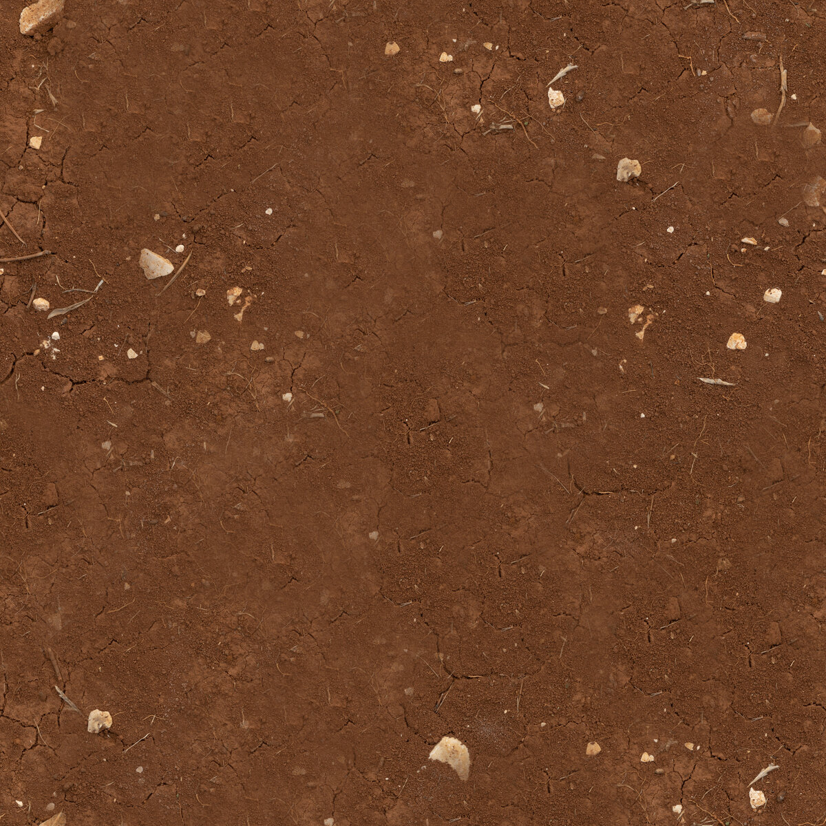 Red Mud Stones Texture