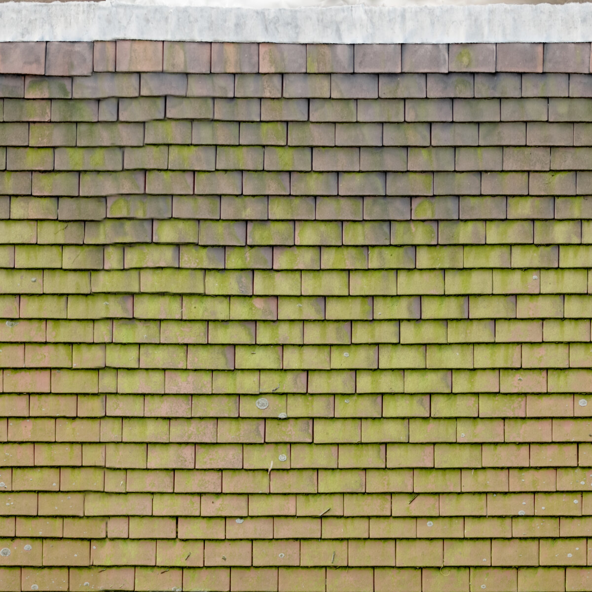 Red Slate Roof Tiles 01 Texture