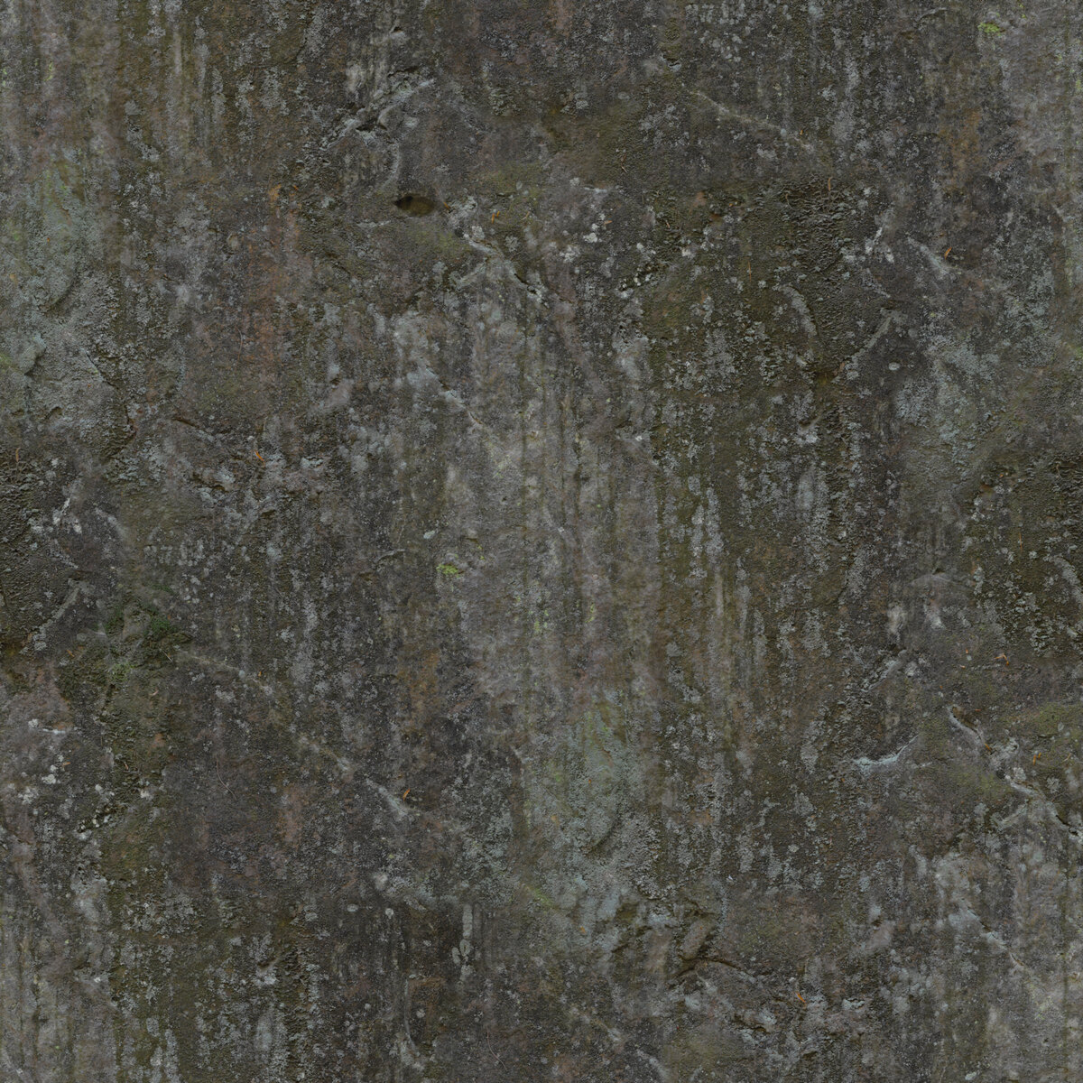 Rock 020 Texture