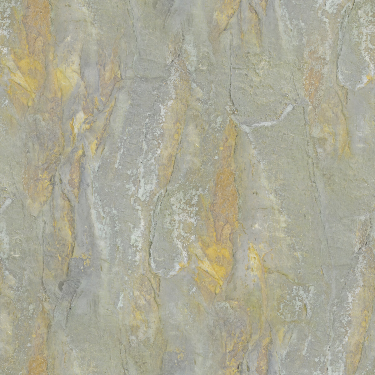 Rock 021 Texture