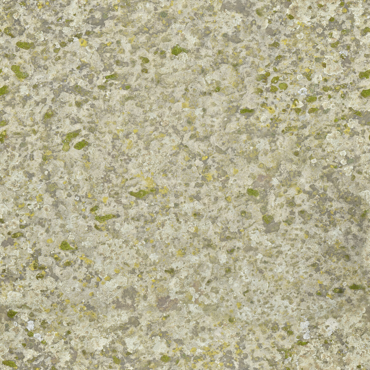 Rock 040 Texture
