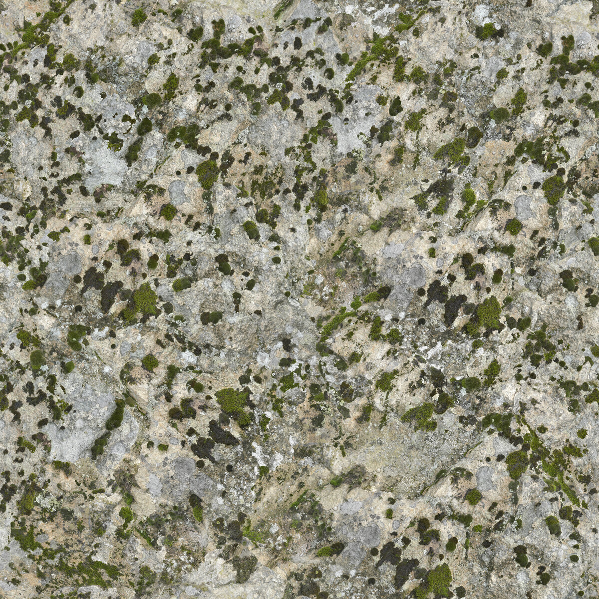 Rock 046 L Texture