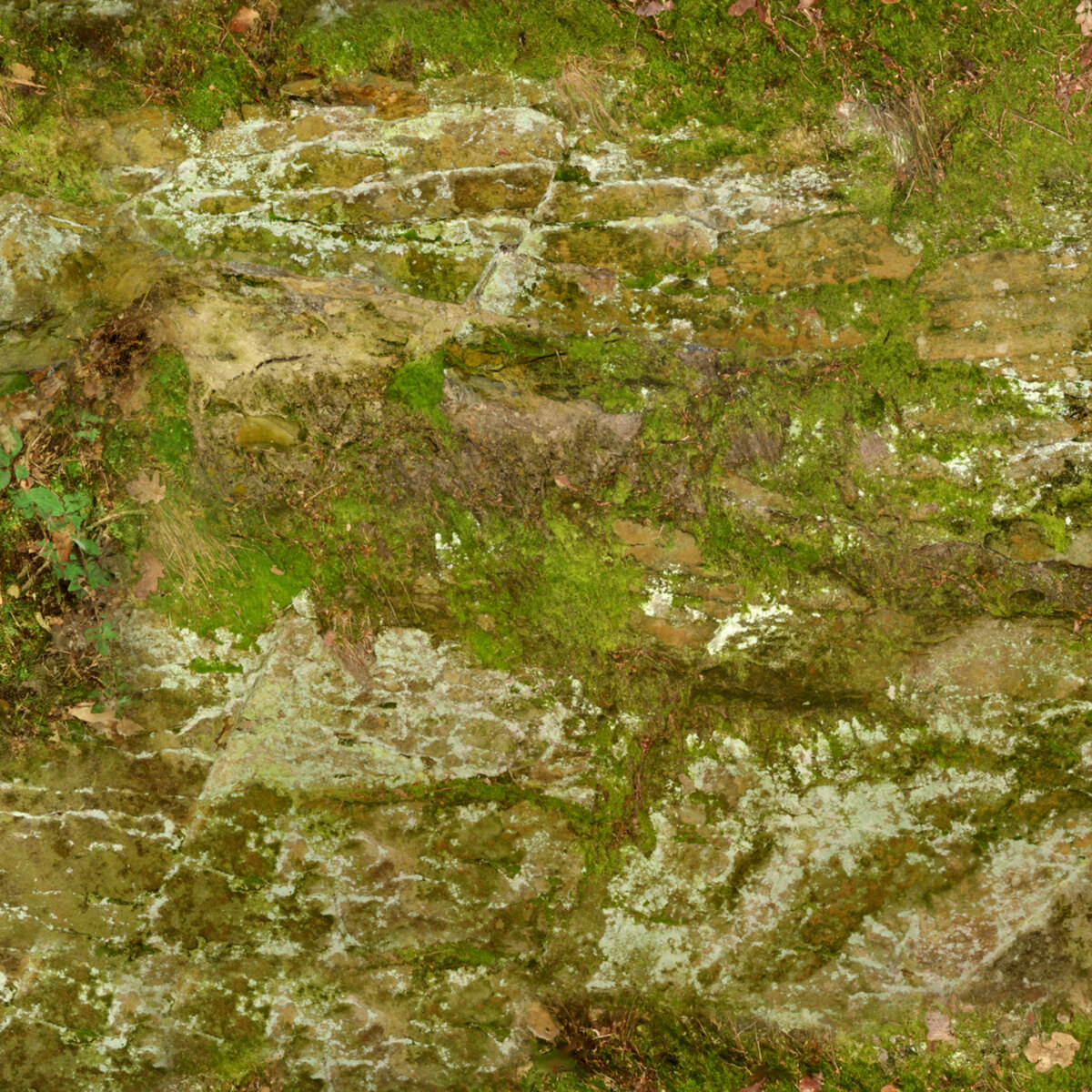 Rock 063 Texture