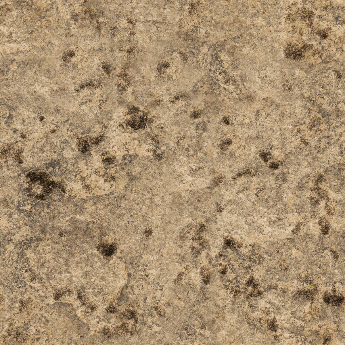 Rock 2 Texture