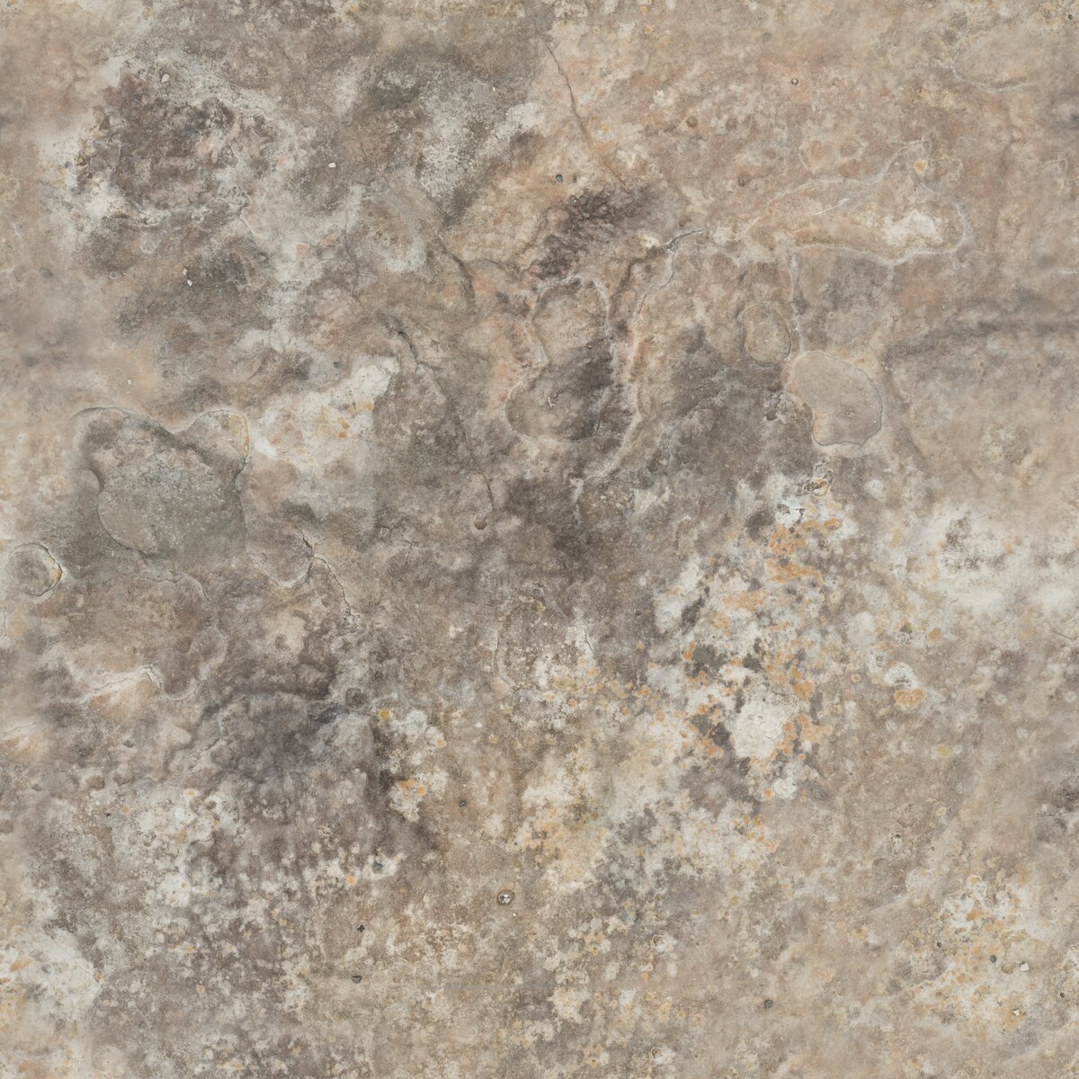 Rock Boulder Dry Texture