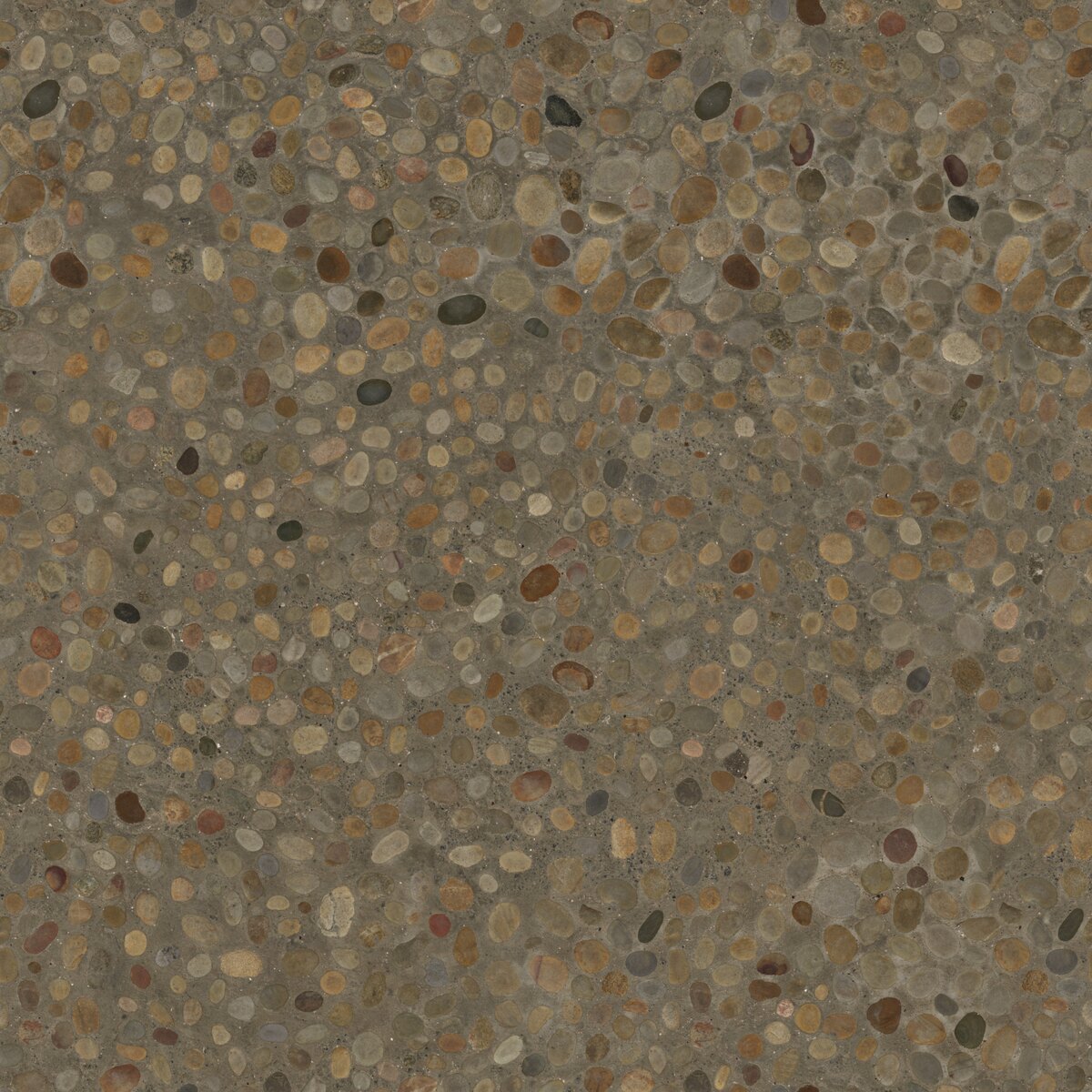 Rock Embedded Concrete Texture