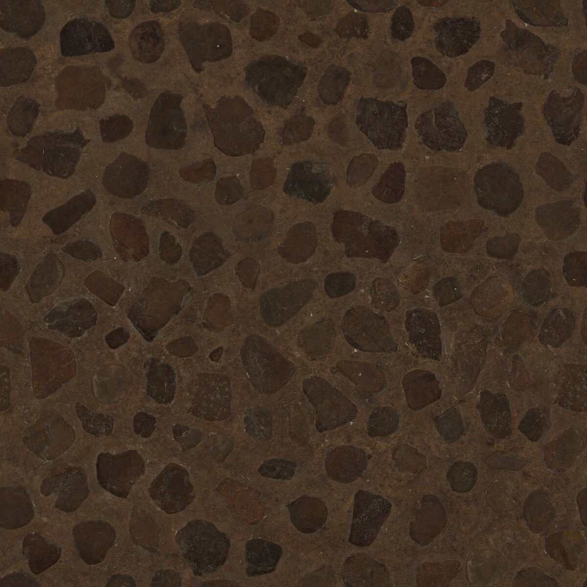 Rock Embedded Floor Texture