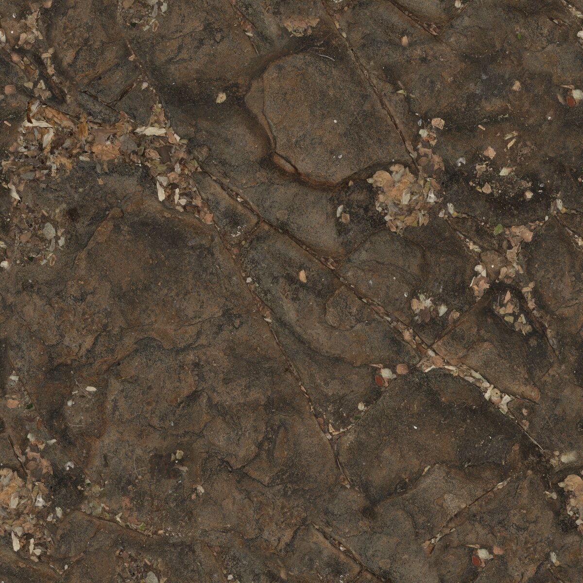 Rock Face 04 Texture