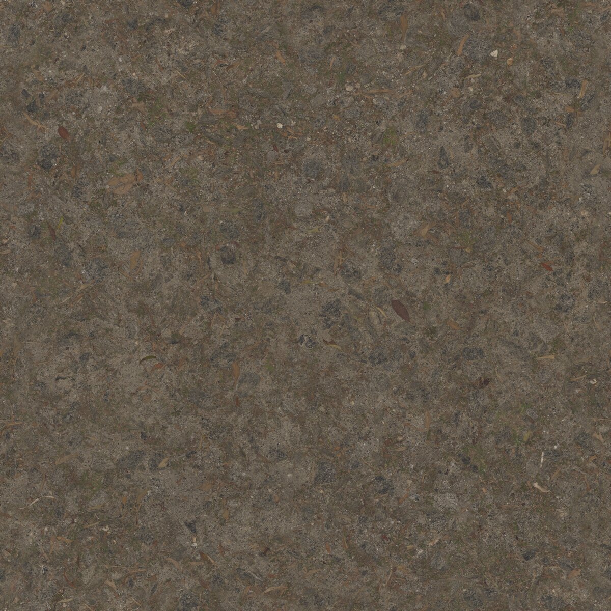 Rock Path Texture