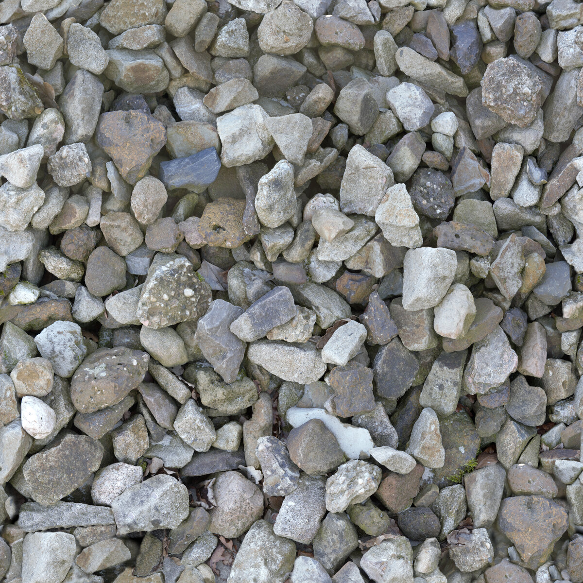 Rocks 002 Texture