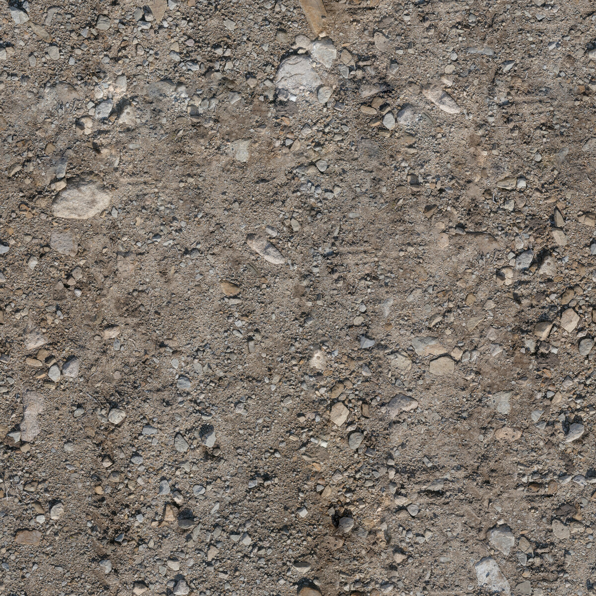 Rocks Ground 09 Texture
