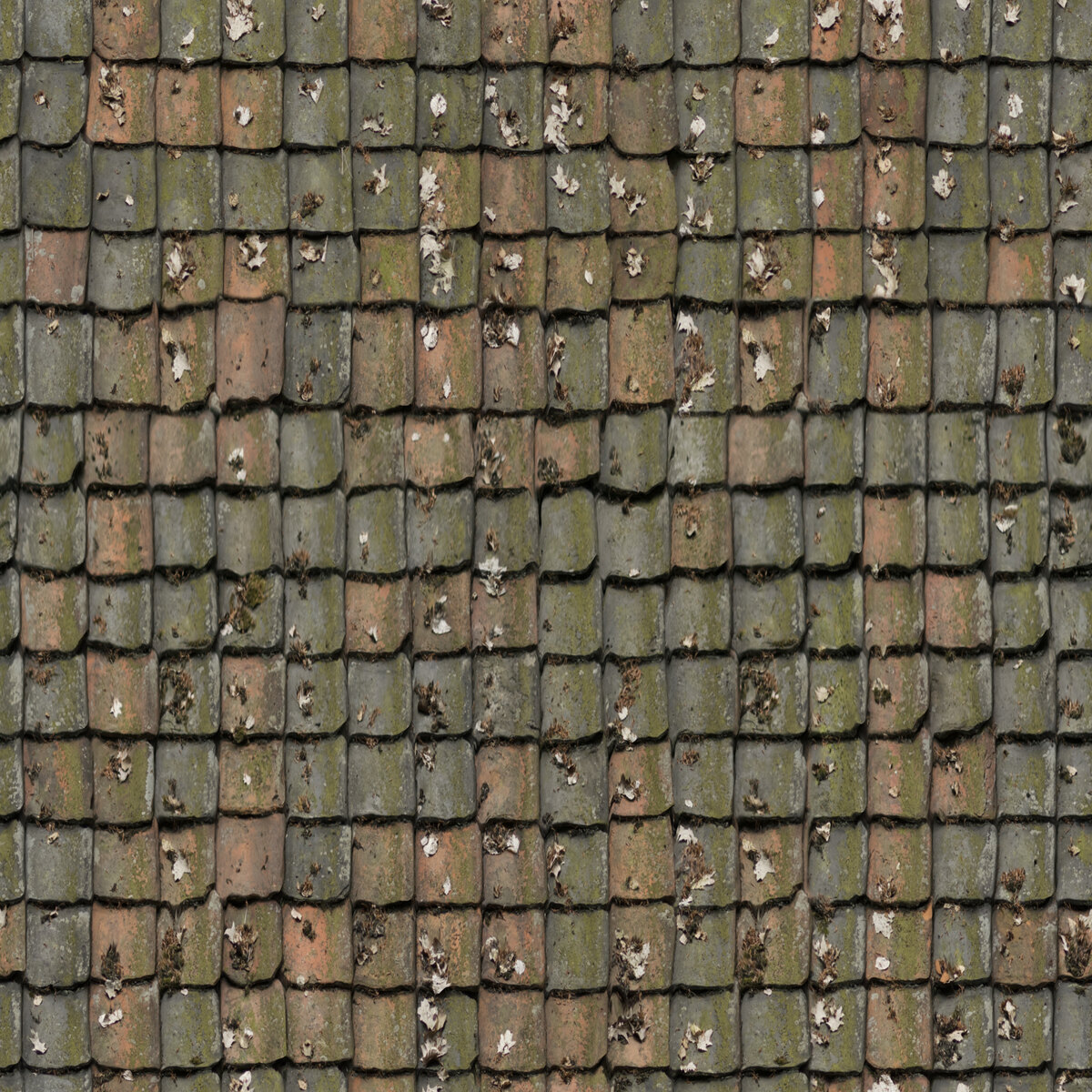 Roof 07 Texture