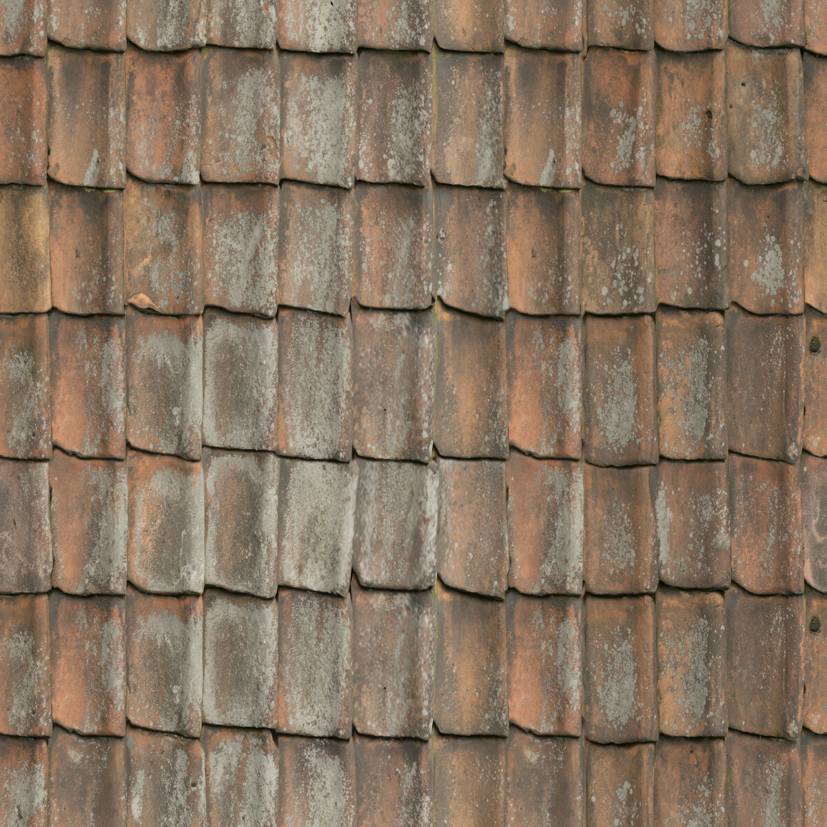 Roof 09 Texture