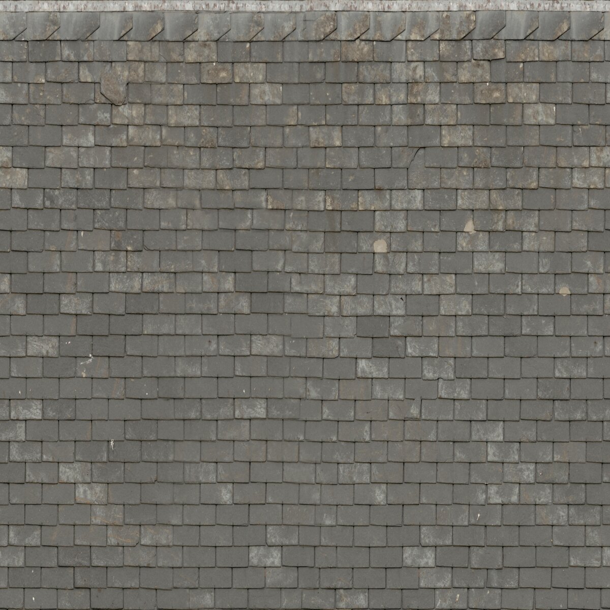 Roof Slates 03 Texture