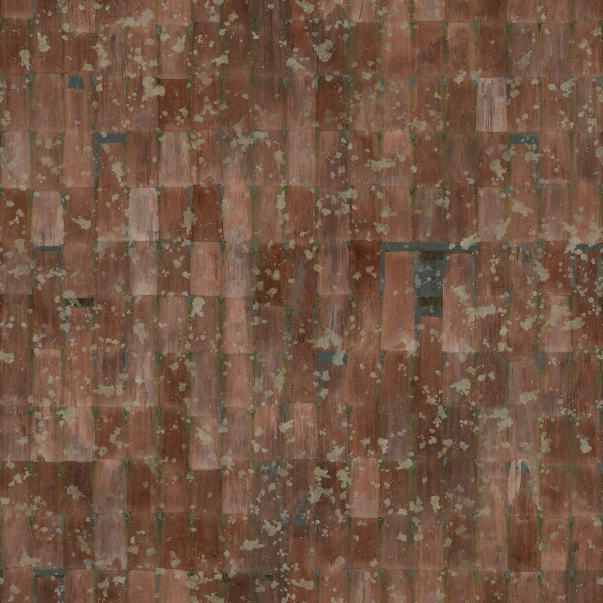 Roofing Tiles 014 C Texture
