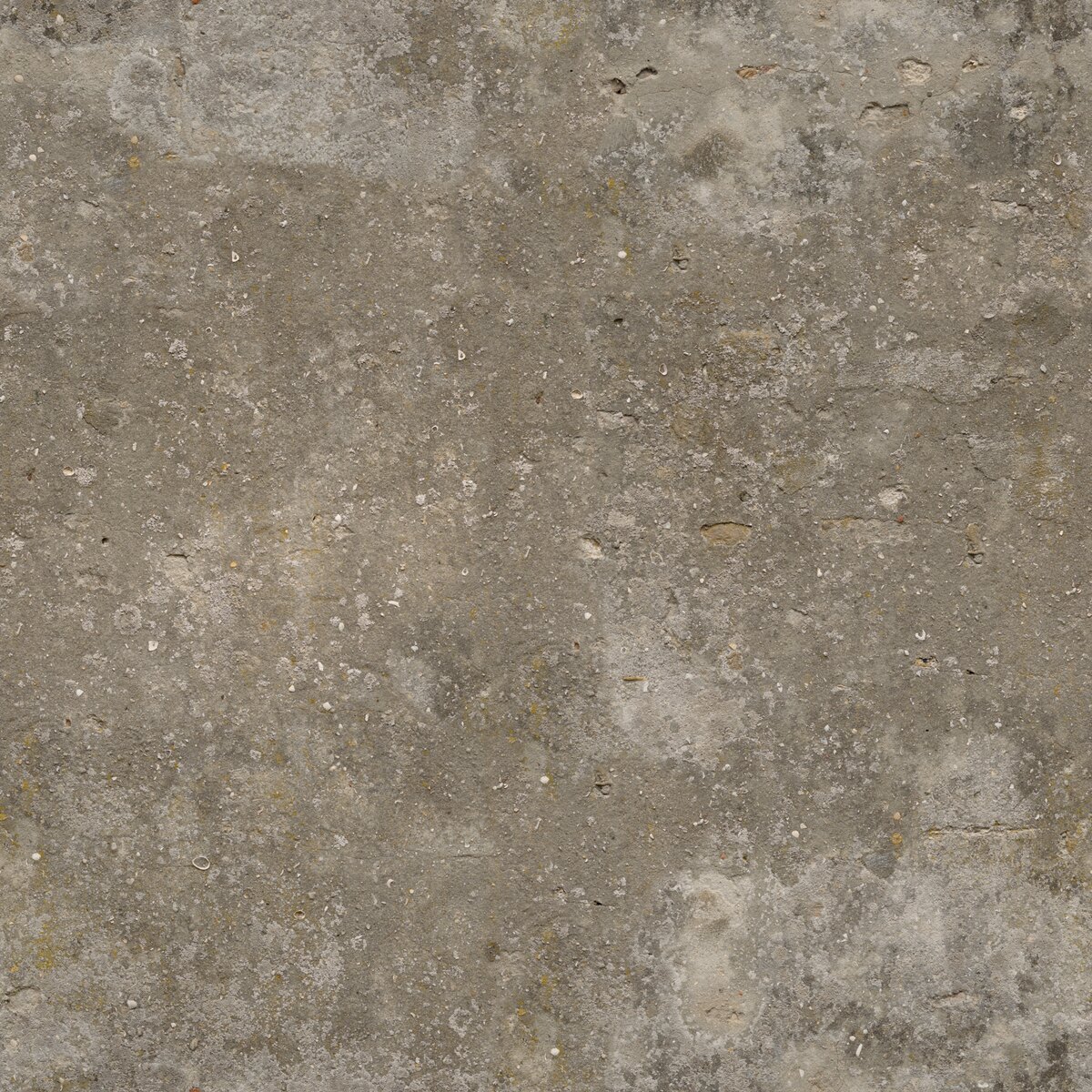 Rough Plasterbrick 05 Texture