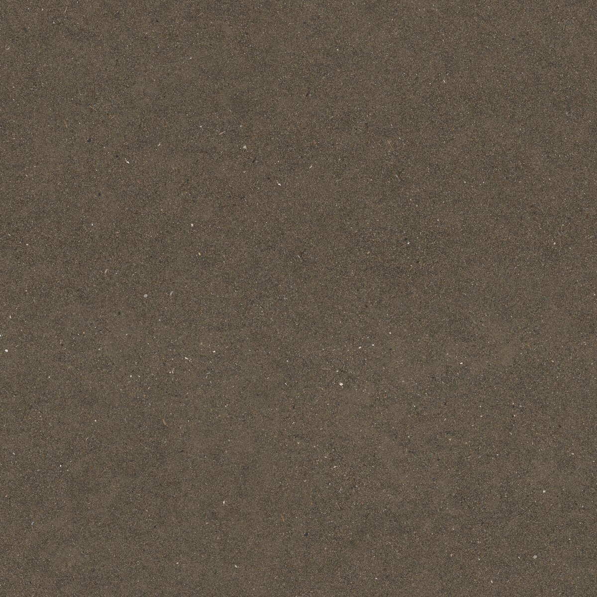 Sand 02 Texture