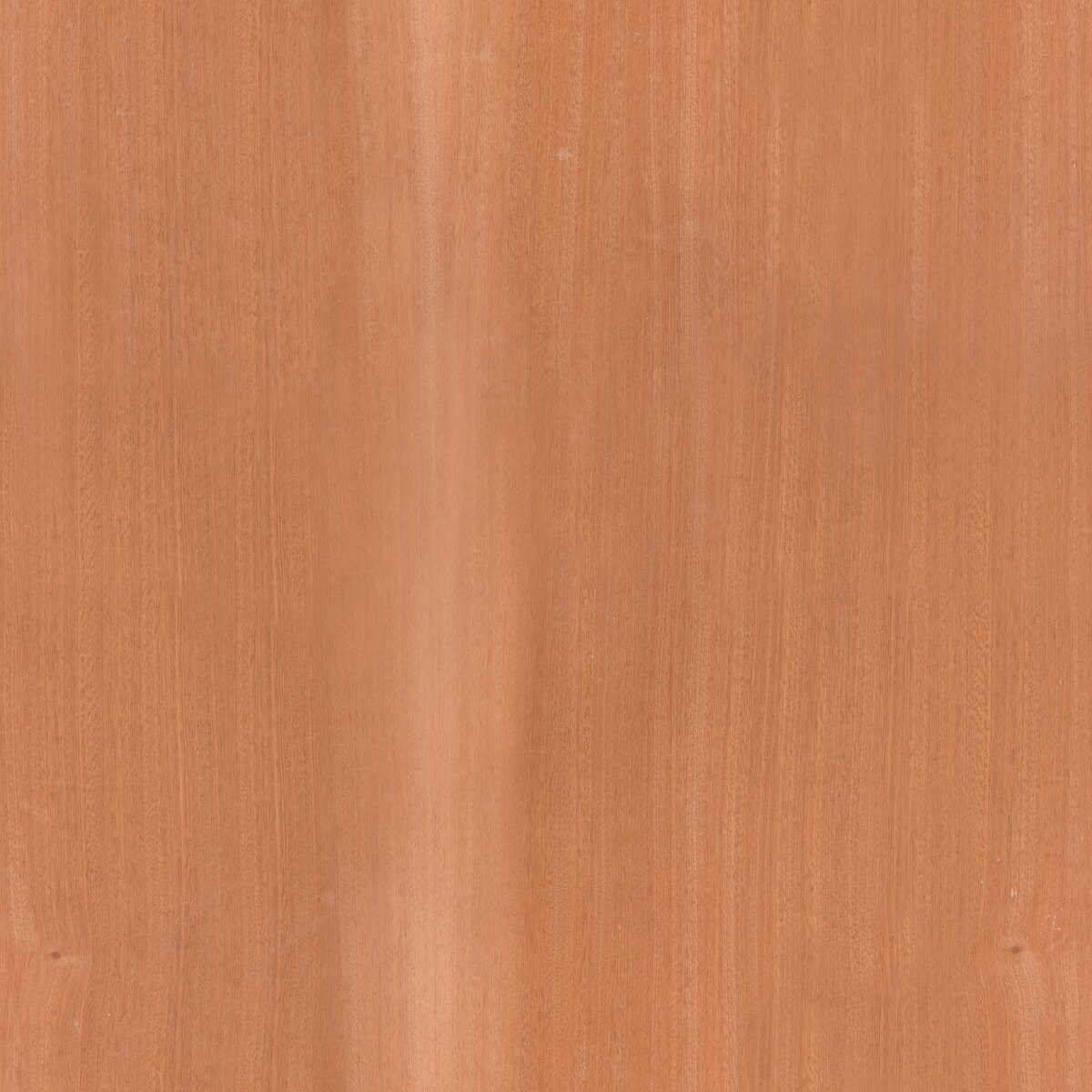 Sapele Veneer Texture