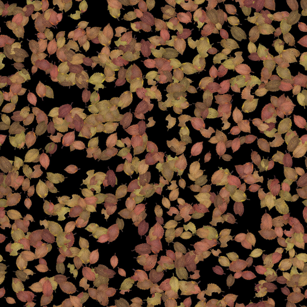Scattered Leaves 007 Texture