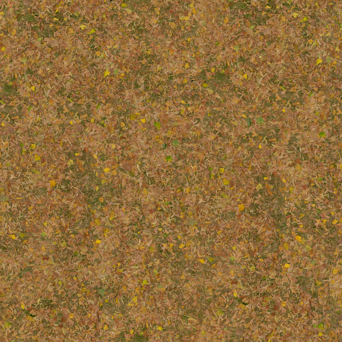Scattered Leaves 009 Texture