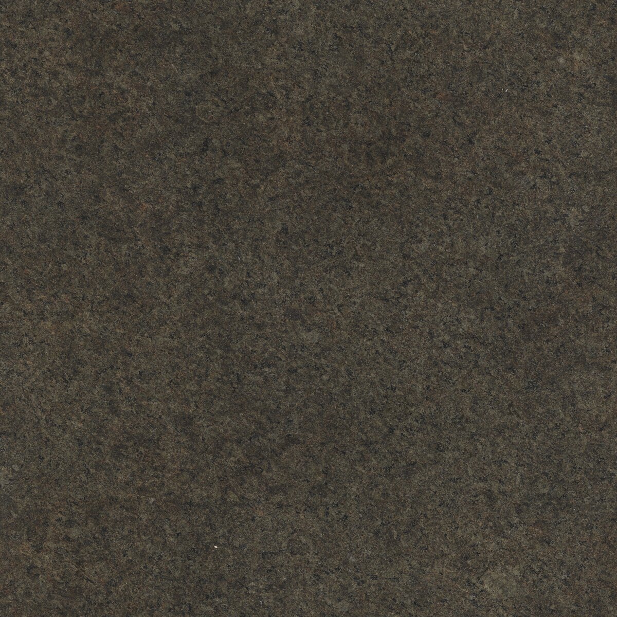 Seaside Rock Texture