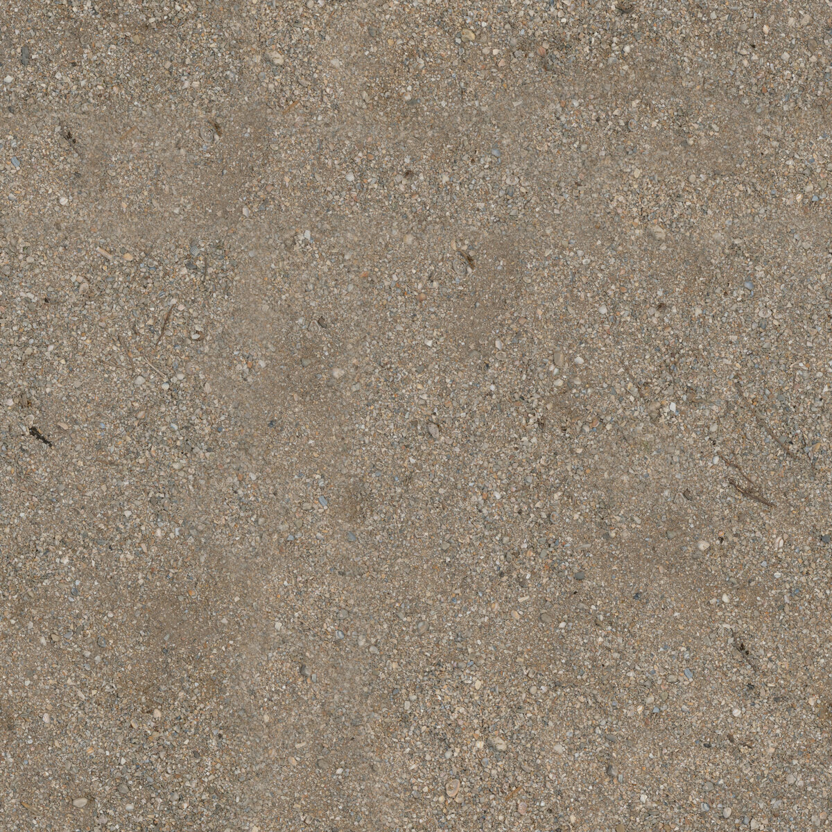 Shell Floor 01 Texture