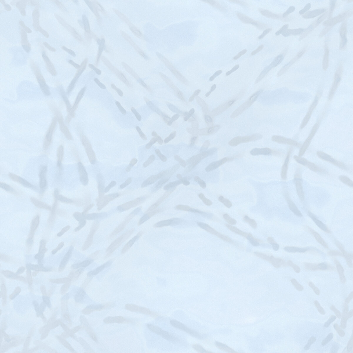 Snow 008 B Texture