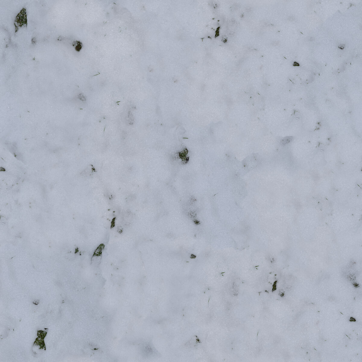 Snow 014 Texture