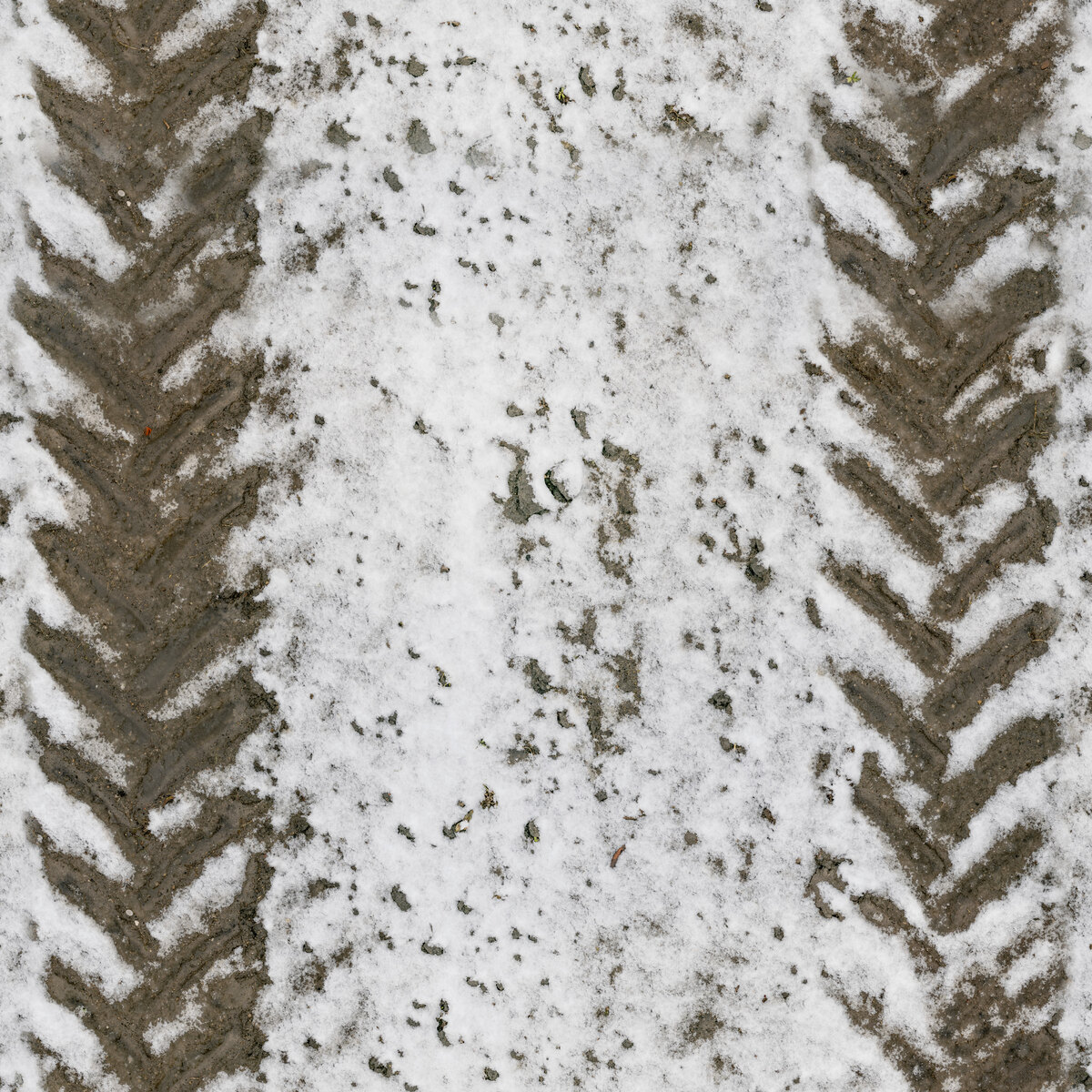 Snow 05 Texture