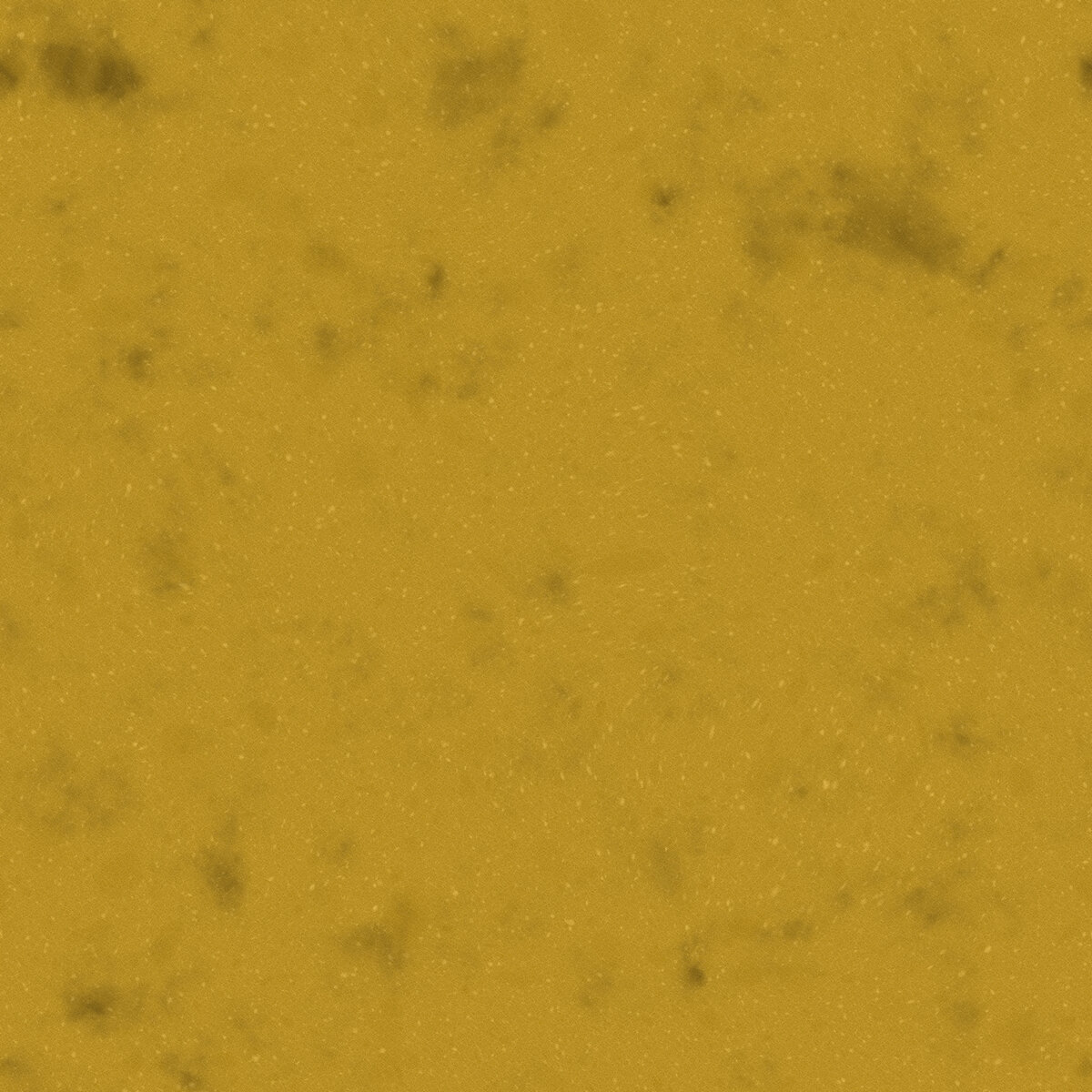 Sponge 001 Texture