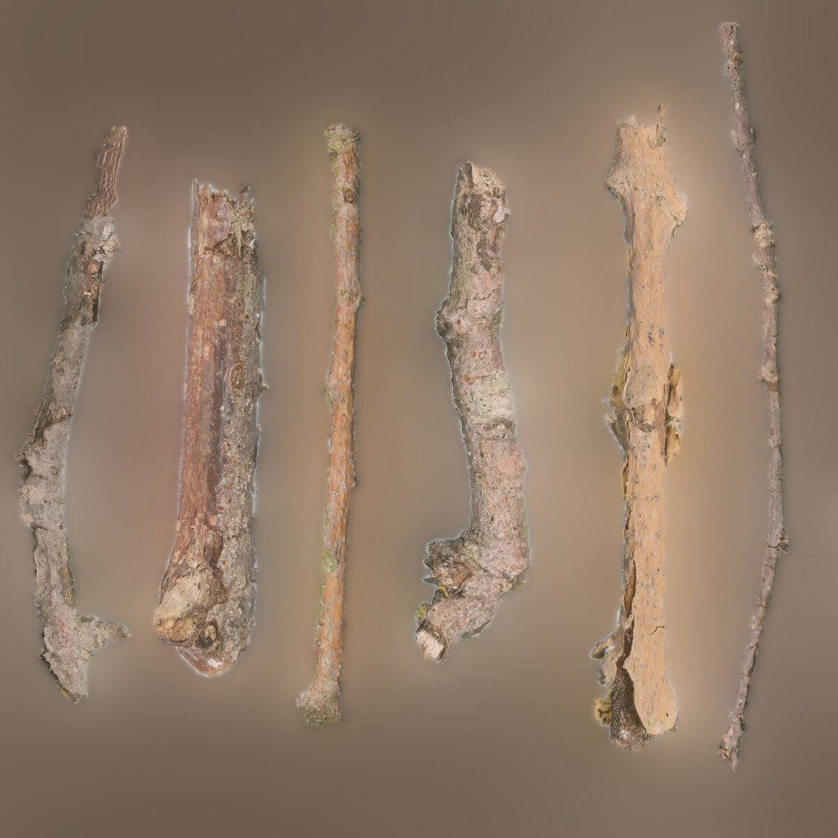 Stick Set 001 Texture