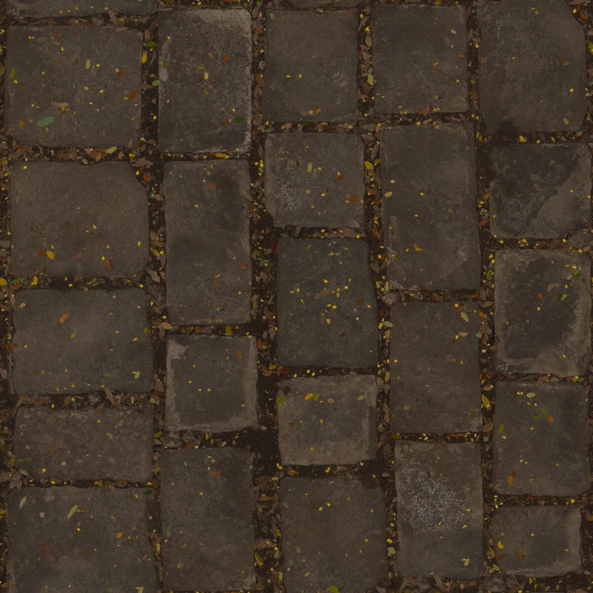 Stone Pathway 02 Texture