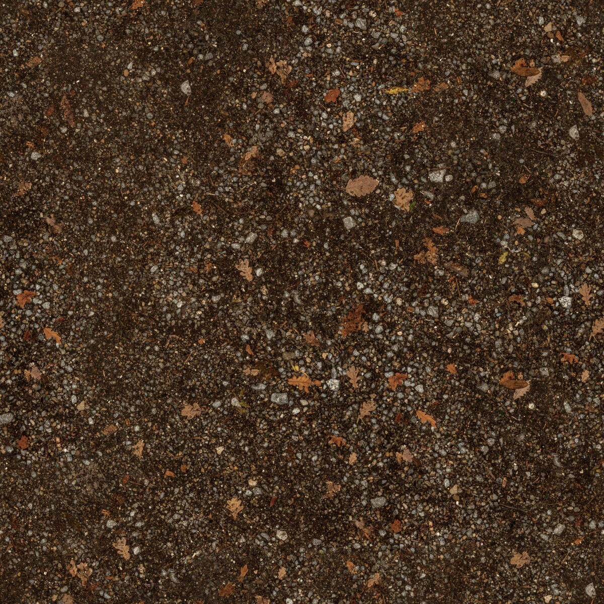 Stony Dirt Path Texture