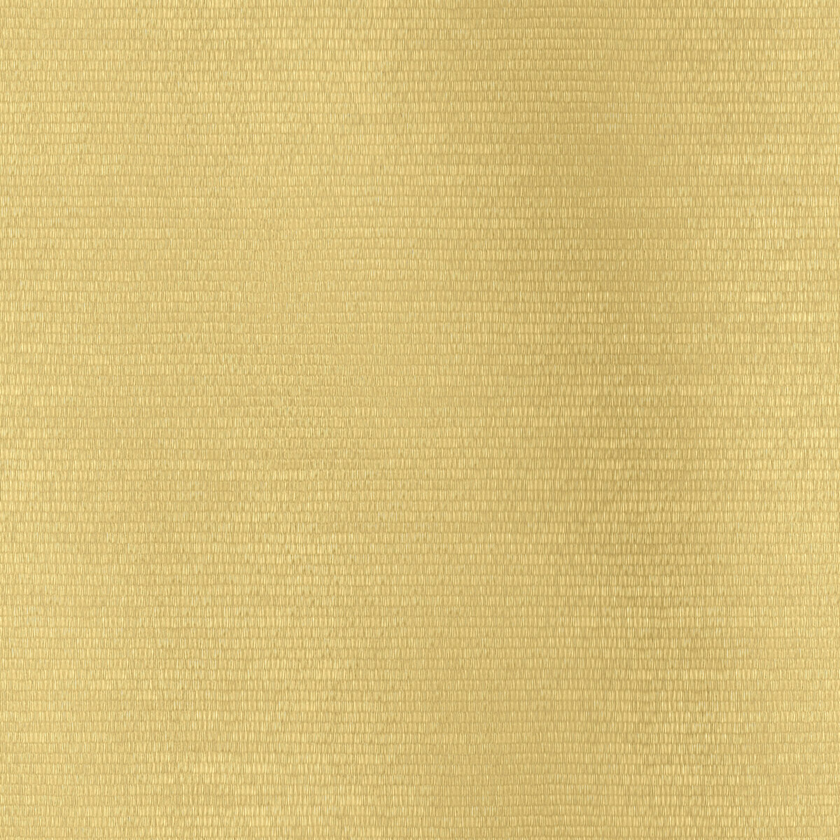 Tatami 001 Texture