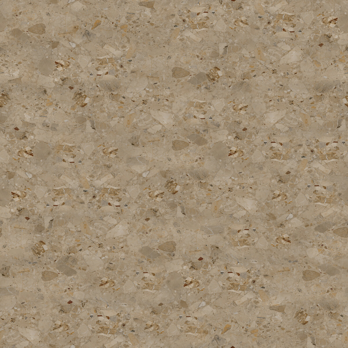 Terrazzo 019 L Texture
