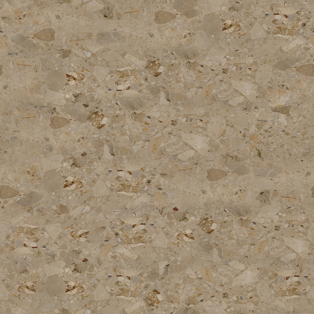 Terrazzo 019 M Texture