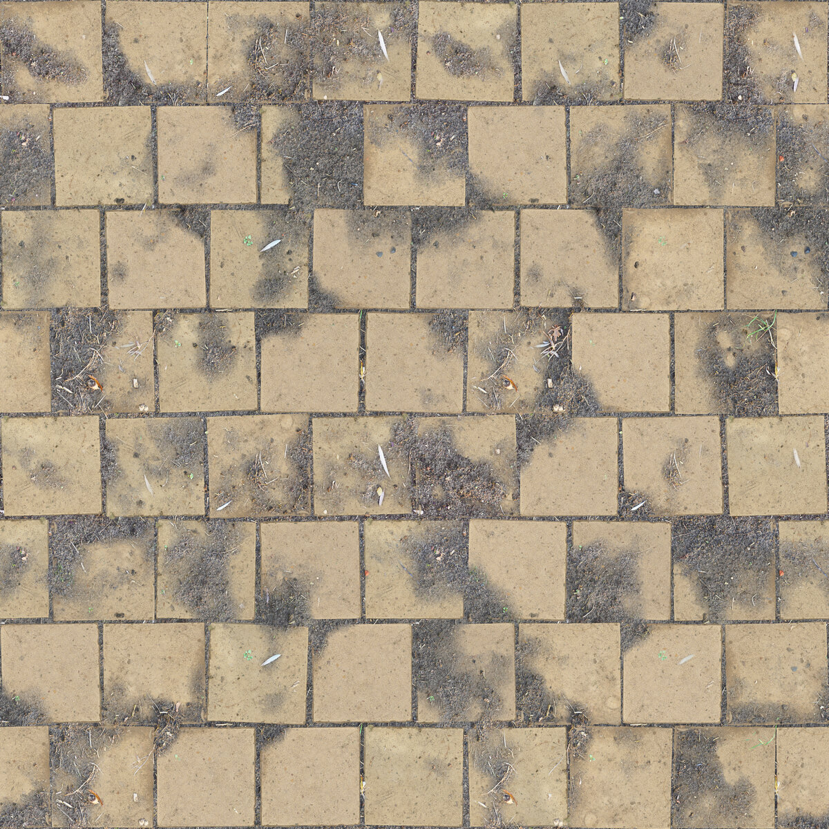 Tiles 096 Texture